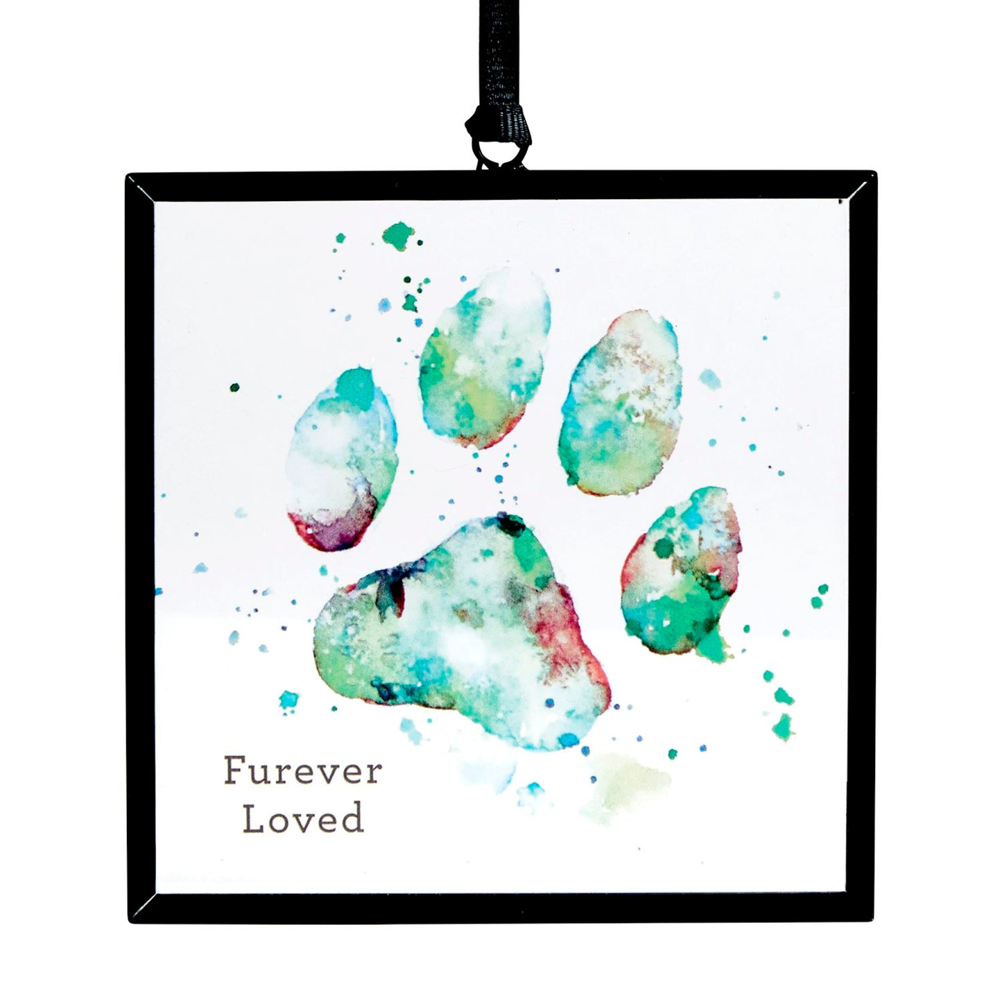 Sun Catcher