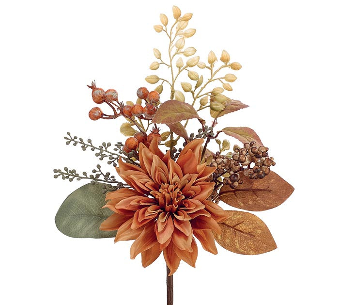 Fall Dahlia Pick