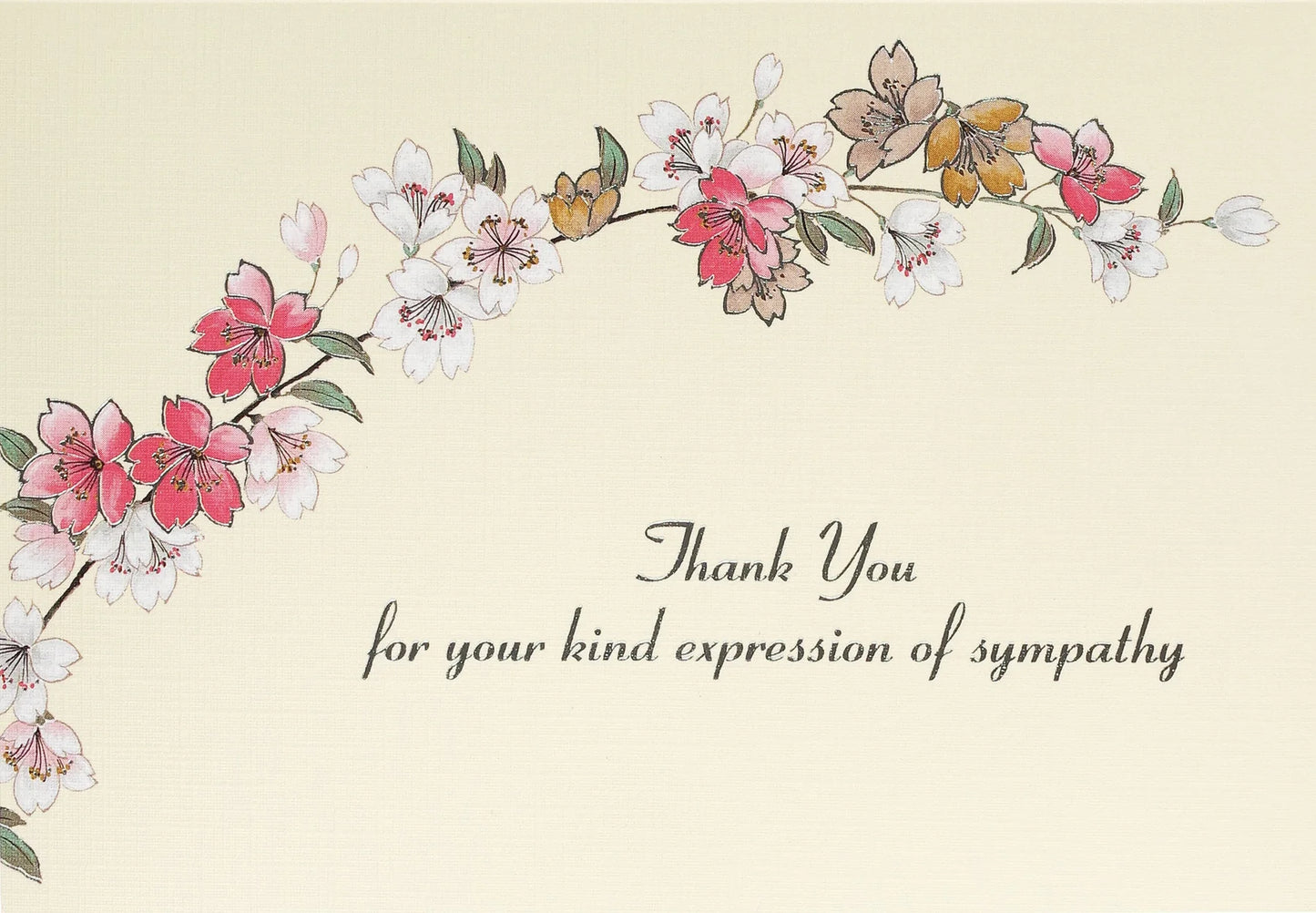 Boxed Thank You Cards