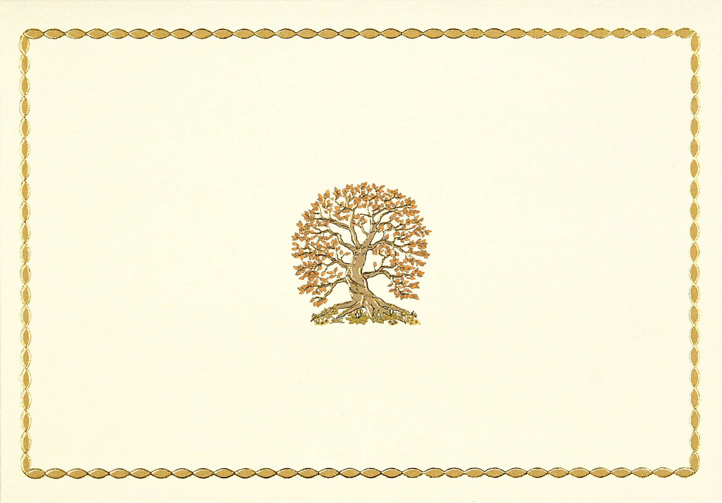 Boxed Thank You Cards