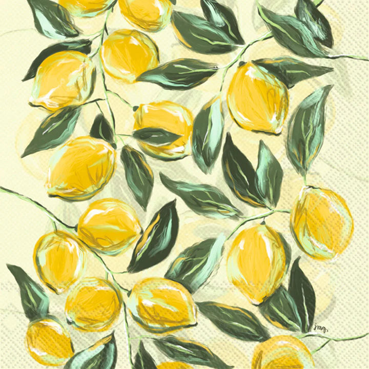 Paper Napkins