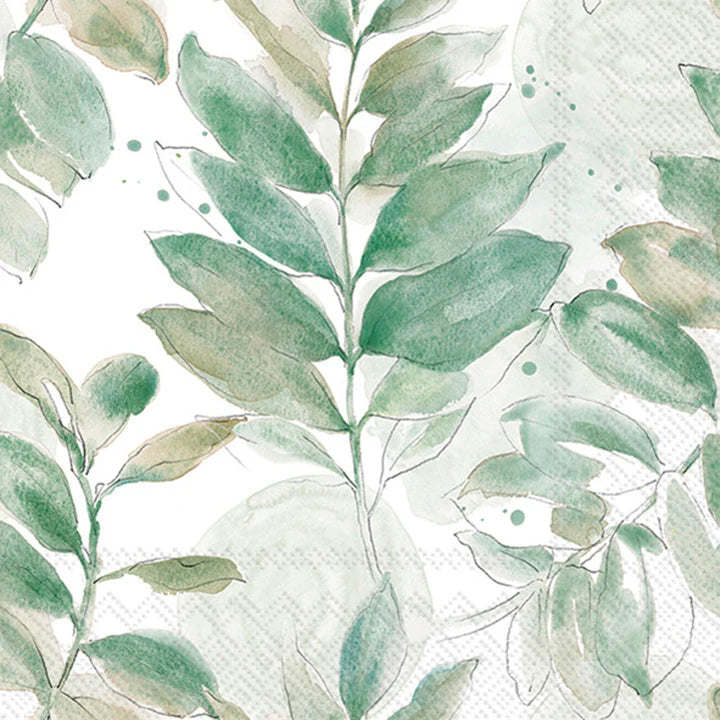 Paper Napkins