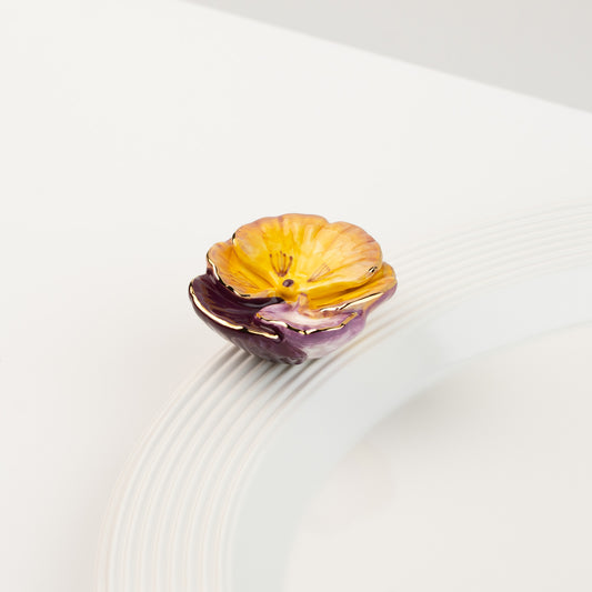 mini pansy pop