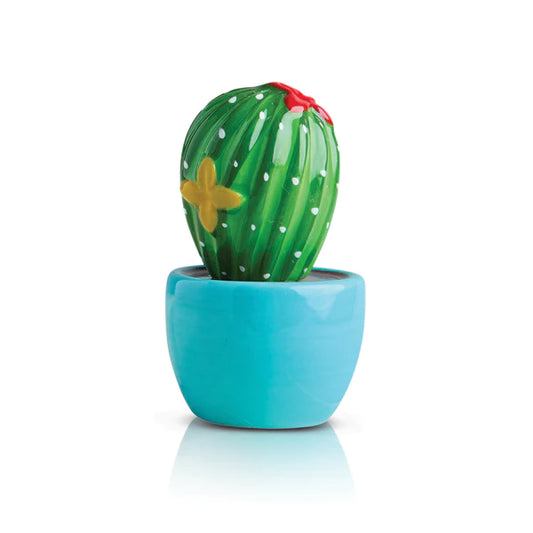Mini Cant Touch this (Cactus)